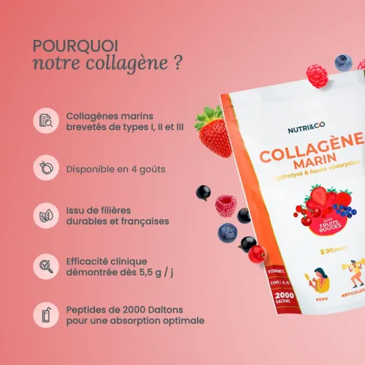 NUTRI&CO Collagène Marin Type 1, 2 et 3 & Vitamine C - Fruits Rouges 90 jrs