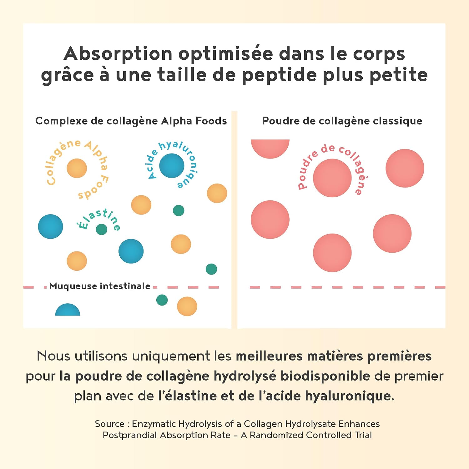 Collagene Poudre [2x400gr] - Collagen Peptides (Type I, II & III) - Collagène Hydrolysé en Poudre enrichi avec Elastine & Acide Hyaluronique - Goût Neutre - Alpha Foods