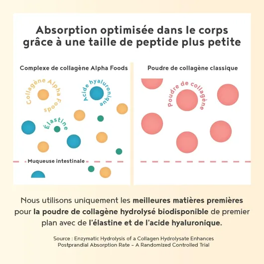 Collagene Poudre [2x400gr] - Collagen Peptides (Type I, II & III) - Collagène Hydrolysé en Poudre enrichi avec Elastine & Acide Hyaluronique - Goût Neutre - Alpha Foods