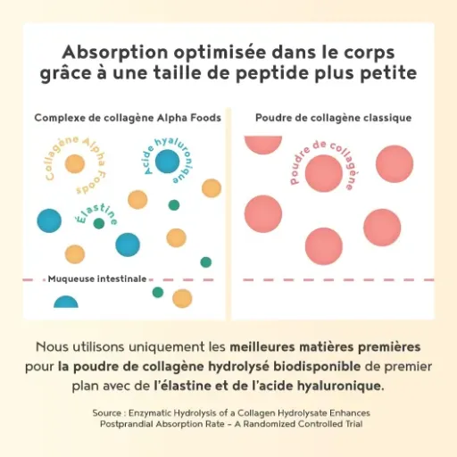 Test Collagene Poudre Alpha Foods : un collagène neutre, simple et plutôt sérieux
