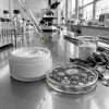 Axe intestin-peau : comment le collagène marin agit sur votre teint via votre microbiome
