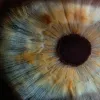 Sublimer le contour des yeux avec le collagène marin : crèmes et sérums d’exception