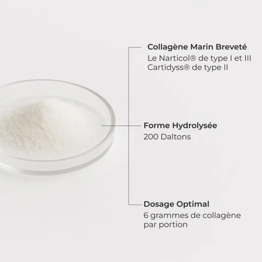 51PSoiexJiL._AC_SL1000_