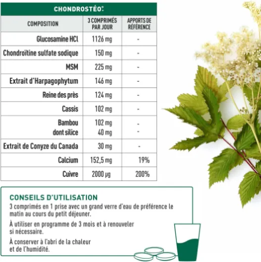 CHONDROSTEO ARTICULATIONS - Glucosamine Chondroïtine, MSM, Harpagophytum - Calcium -Triple Action: Souplesse, Flexibilité, Mobilité -Lot de 3x90 Comprimés 3 MOIS - 3 x 30 comprimés