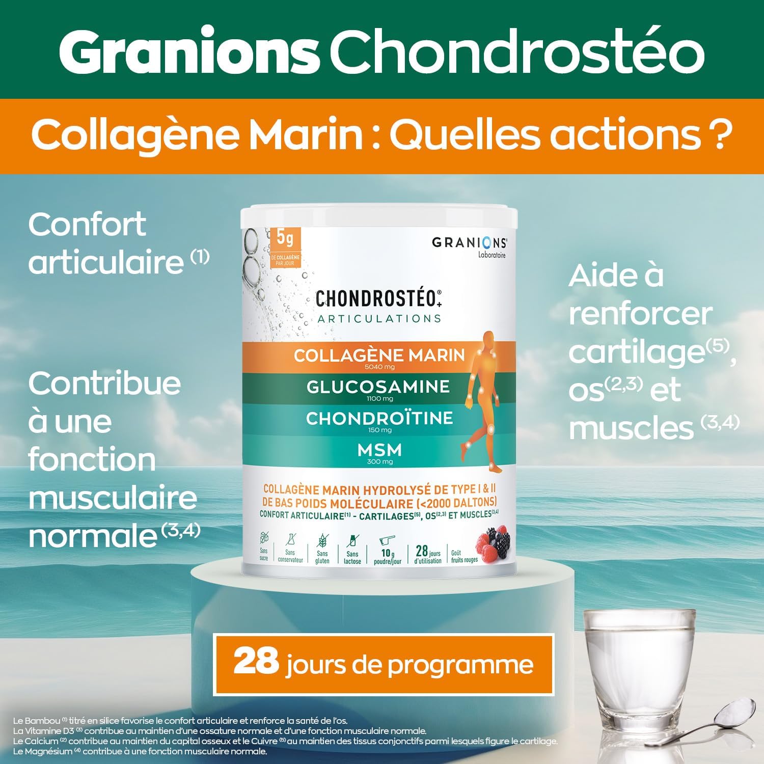 Collagene Marin Poudre - CHONDROSTEO + Articulations - glucosamine chondroitine msm - collagene articulations - chondroitine - msm - 10g PAR JOUR - Goût Fruits Rouges - 280 g Chondrostéo + Collagène Pot 280 g