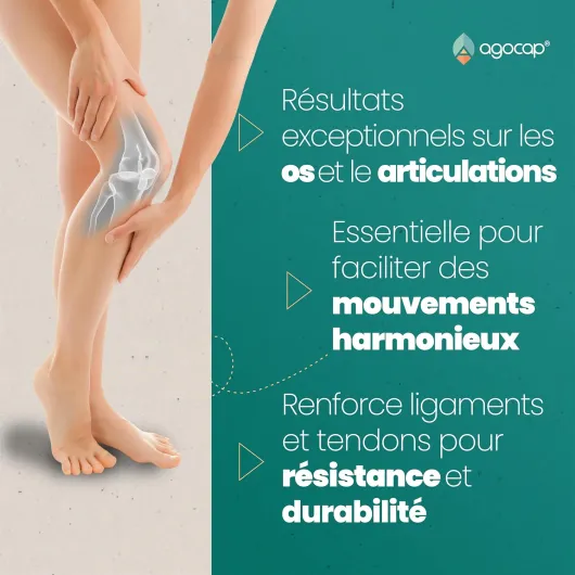 81pcgWyA01L._AC_SL1500_