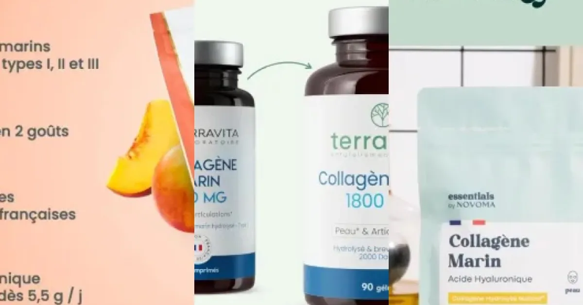 Quel collagène marin et vitamine C naturelle choisir ? Top 2 (2026) — free download