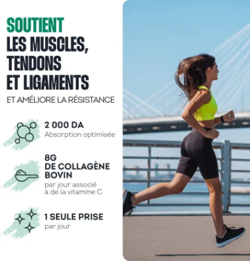 Peptides de Collagène Peptan 300g - Complément alimentaire sport avec Collagène Bovin - Articulations, Récupération, Peau & Tonicité - Goût Exotique - Fabriqué en France