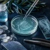 Collagène marin en cosmétique : pipeline d’innovation en cours et évaluations d’efficacité