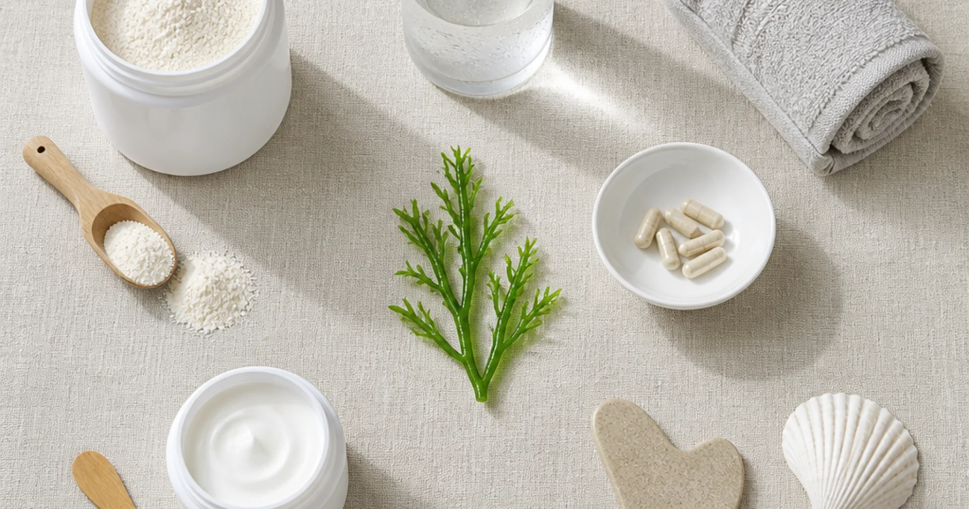 Rentrée sereine : relancer votre cure de collagène et vos habitudes bien-être en cinq rituels simples